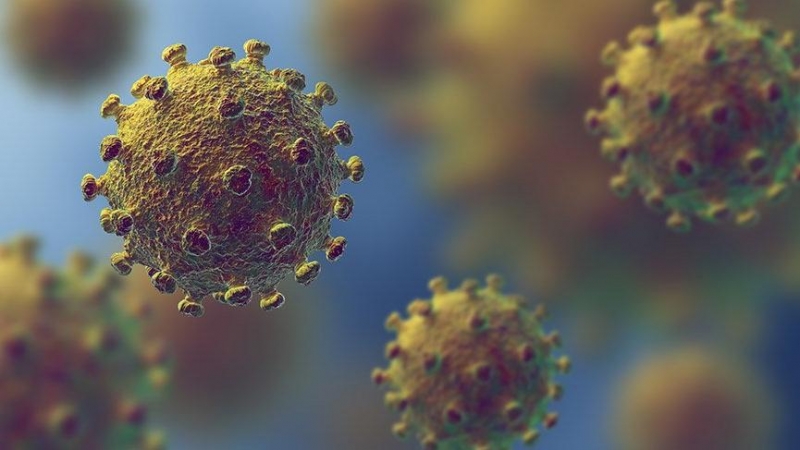 Covid -19 Korona Virüsü Hakkında Bilmemiz Gerekenler